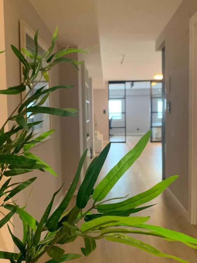 Espectacular Loft Lleno De Luz Y Espacio! Zaragoza Exteriér fotografie
